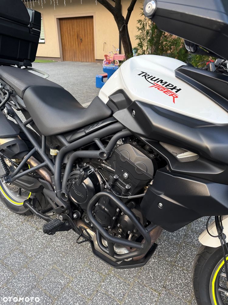 Triumph Tiger - 8