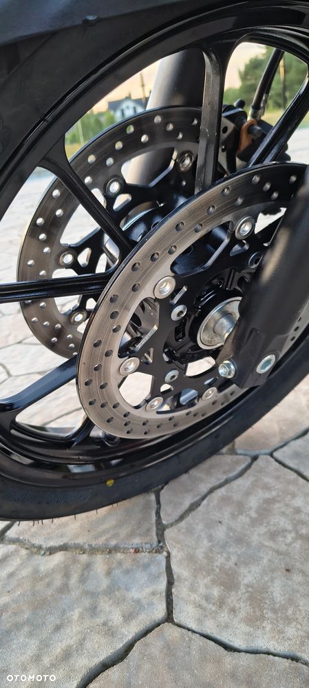 Suzuki V-STROM - 19