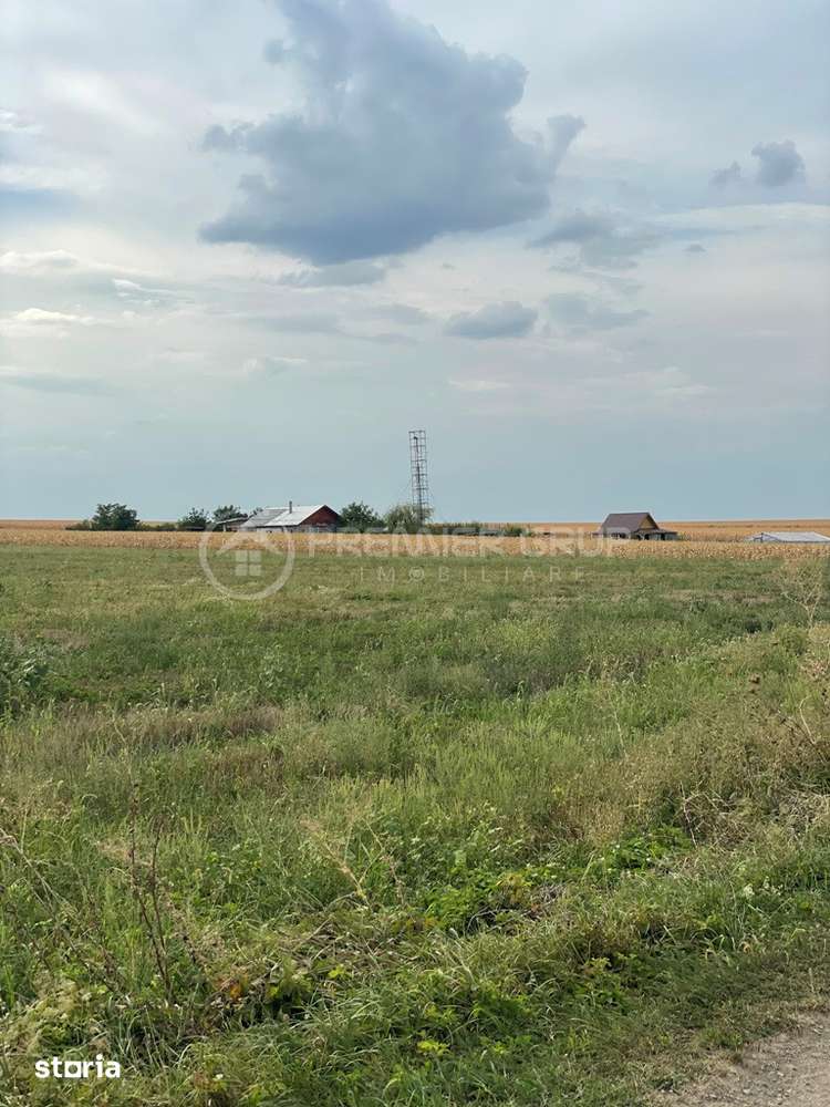 Teren extravilan 7.200mp, Bogdanesti-Horlesti, deschidere la 2 drumuri - Imagine principală: 3/6