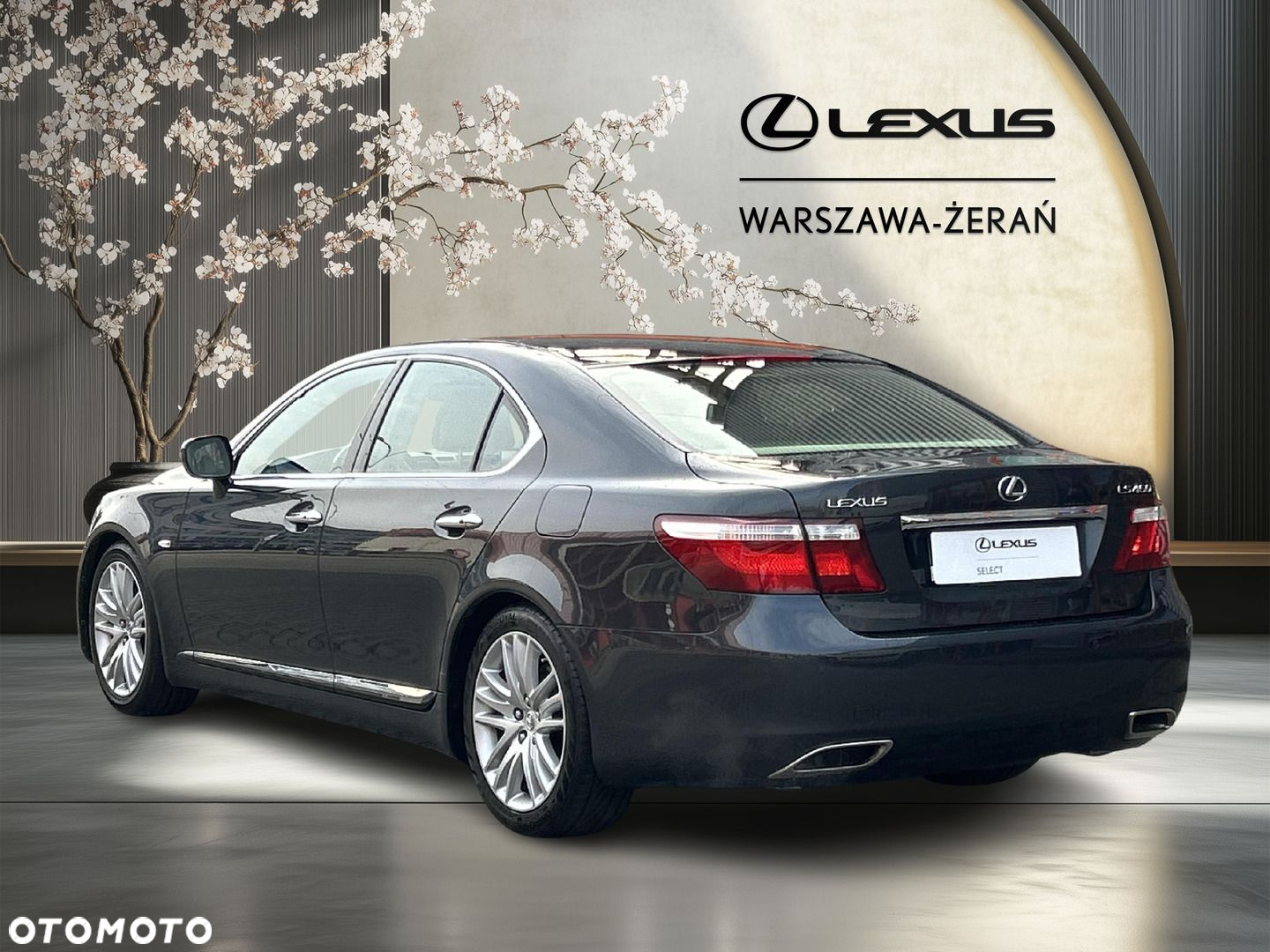 Lexus LS 460 Prestige - 5