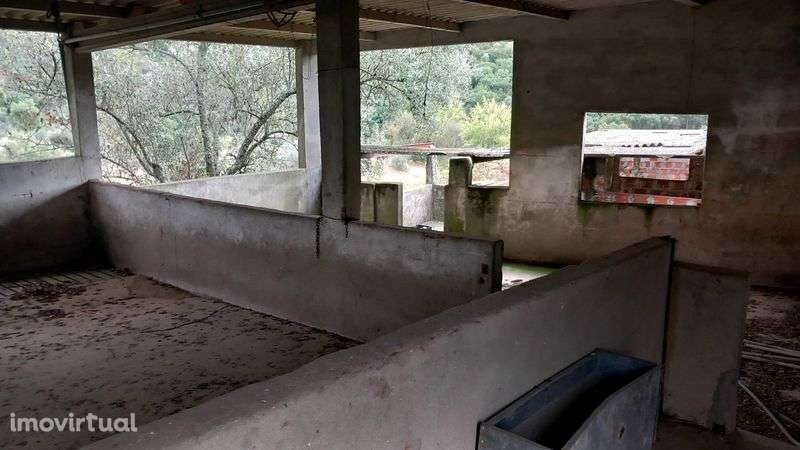 Quinta em barris palmela  parque natural - Grande imagem: 5/12