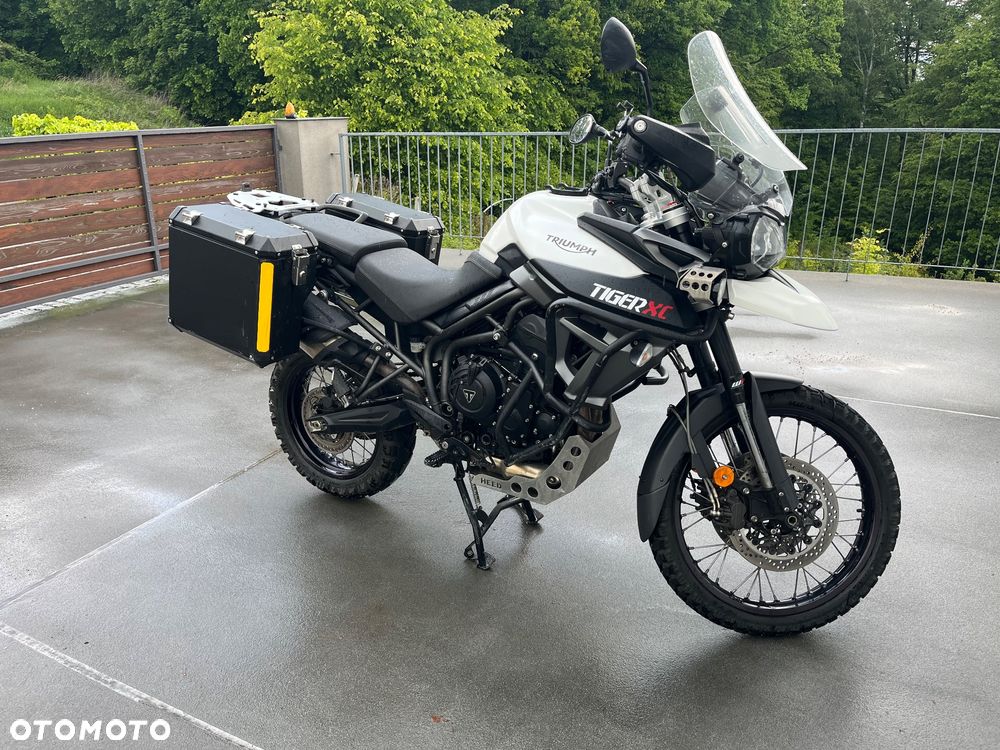 Triumph Tiger - 9