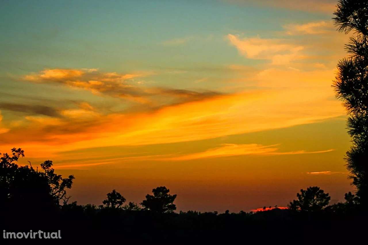 5,5 Hectares com Direitos de Desenvolvimento Turístico Aprovados - Ale - Grande imagem: 2/5