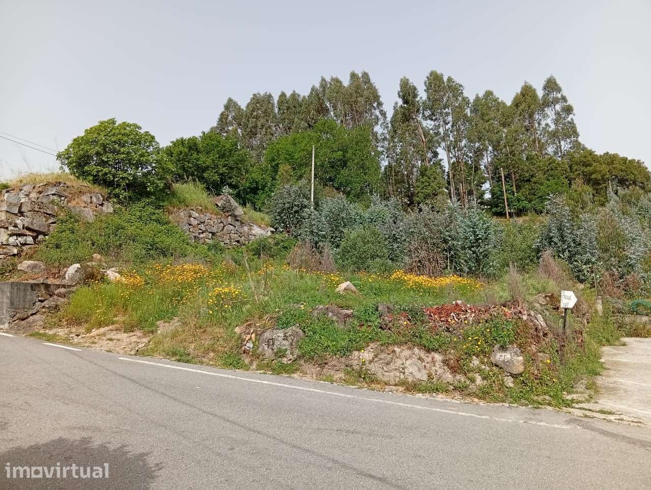 Terreno urbano com acesso pavimentado em Boelhe - Grande imagem: 2/14