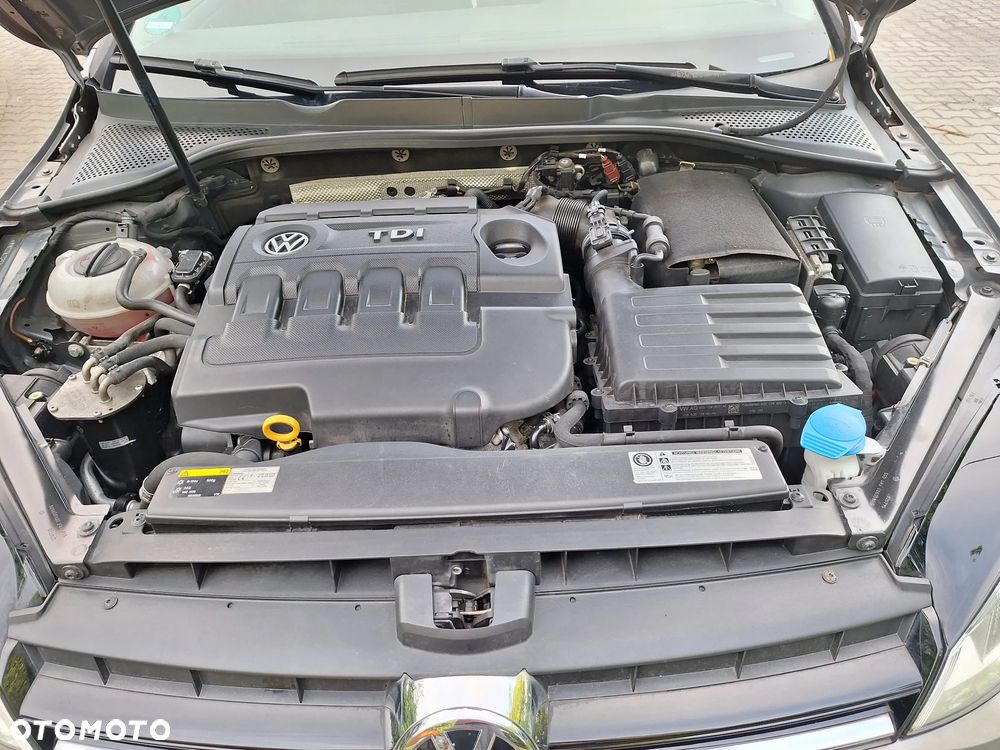 Volkswagen Golf - 15