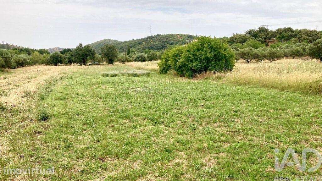 Terreno Agrícola em São Brás de Alportel - Grande imagem: 2/10