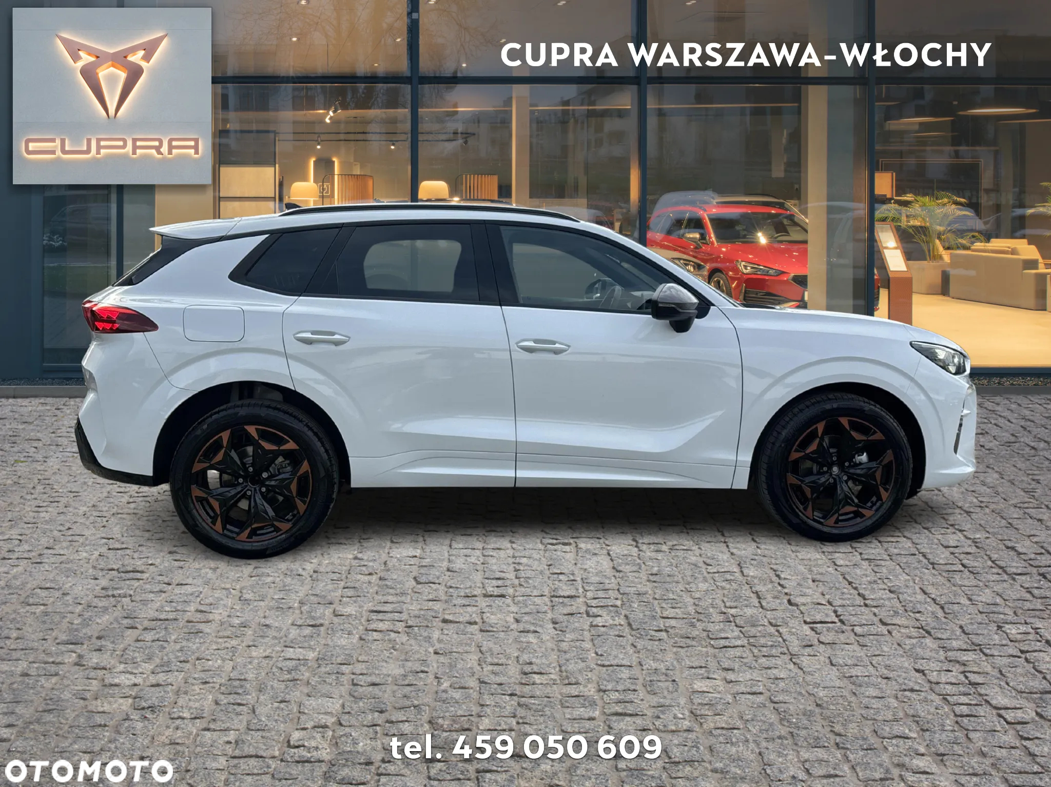 Cupra Terramar - 6