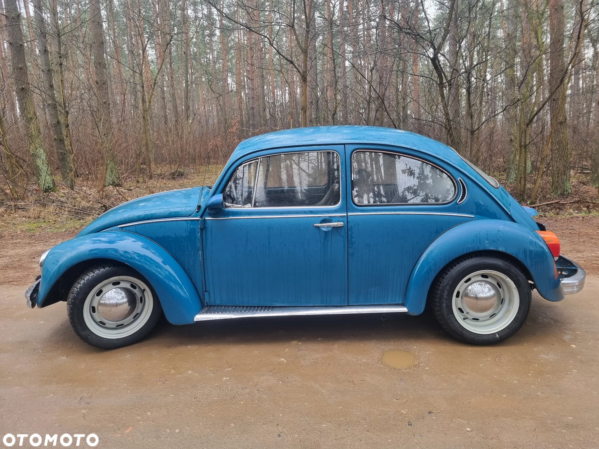 Volkswagen Garbus - 27
