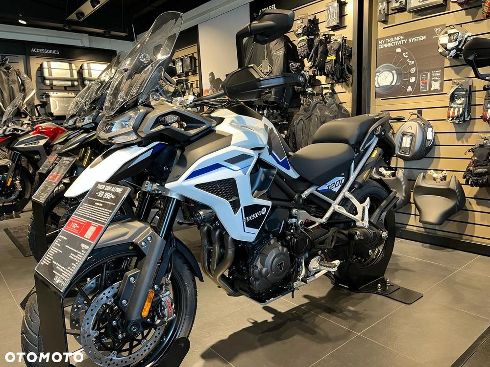 Triumph Tiger - 11