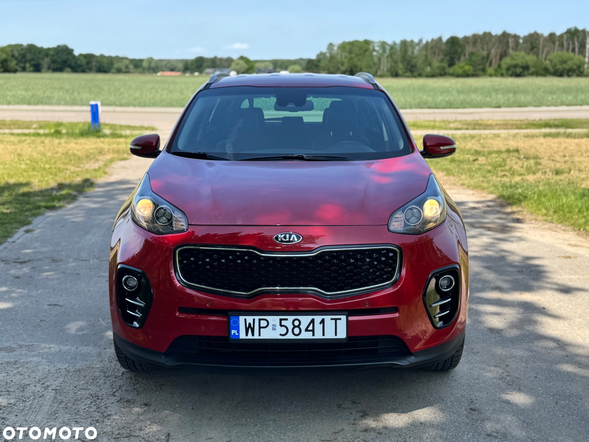 Kia Sportage 1.6 GDI L Business Line 2WD - 12