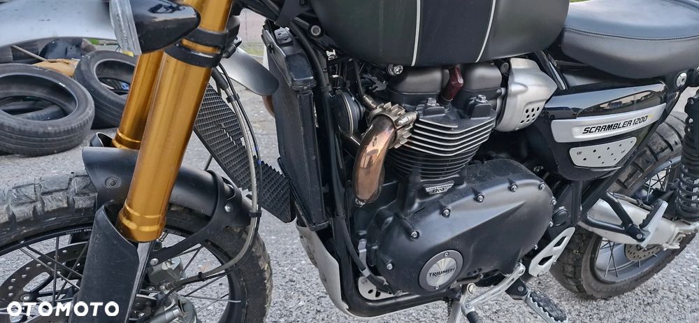 Triumph Scrambler - 16