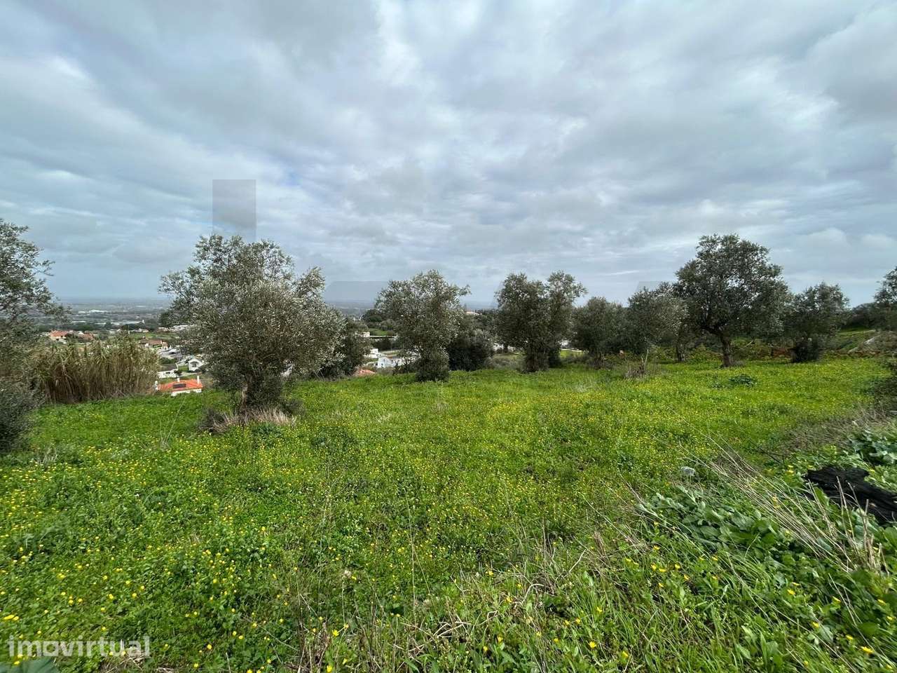 Terreno Exclusivo em Palmela: Onde a Natureza encontra a Sofisticação - Grande imagem: 4/5