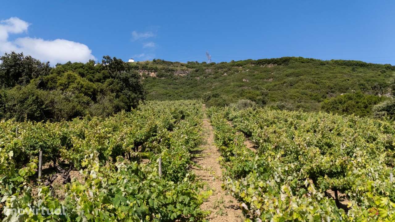 Terreno  para venda - Grande imagem: 5/19