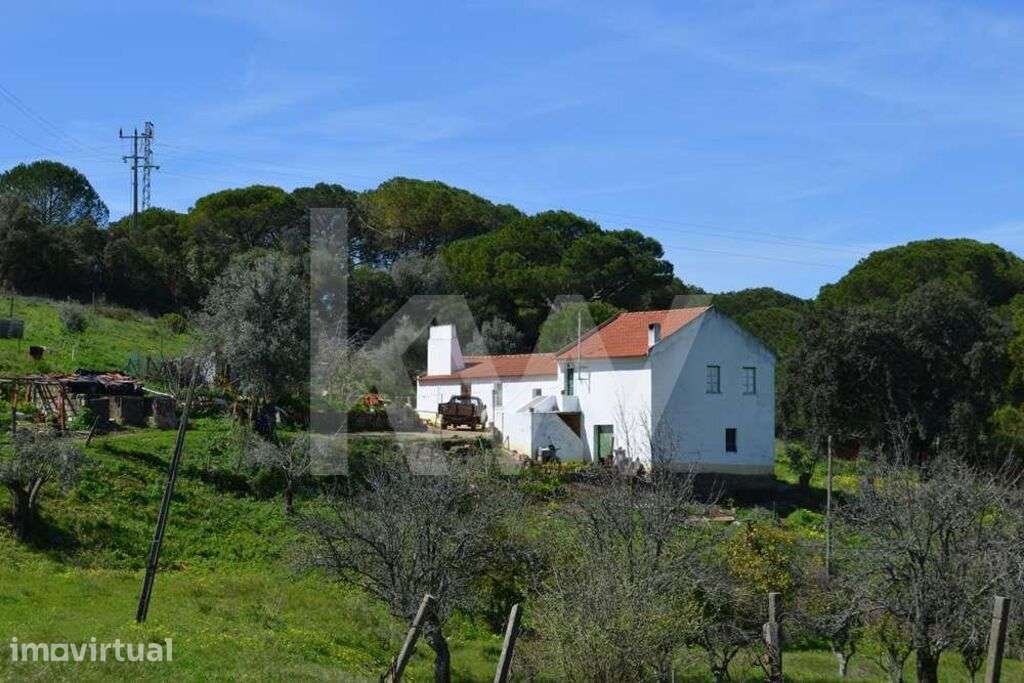 QUINTA COM 4.274,50 M2, COM MORADIA E UM ANEXO EM SANTIAGO DO CACÉM - Grande imagem: 5/20