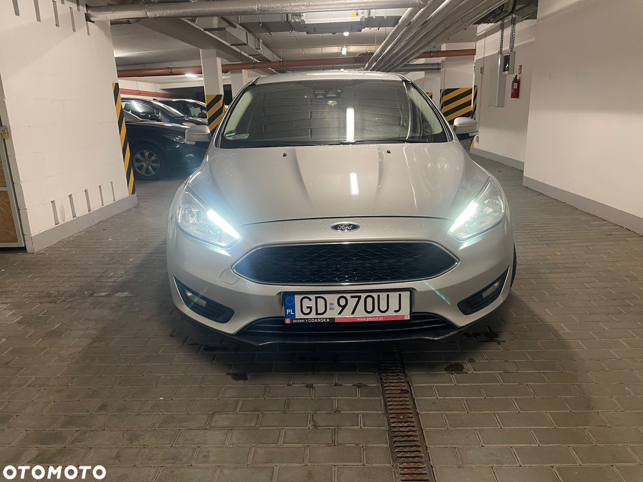 Ford Focus - 2