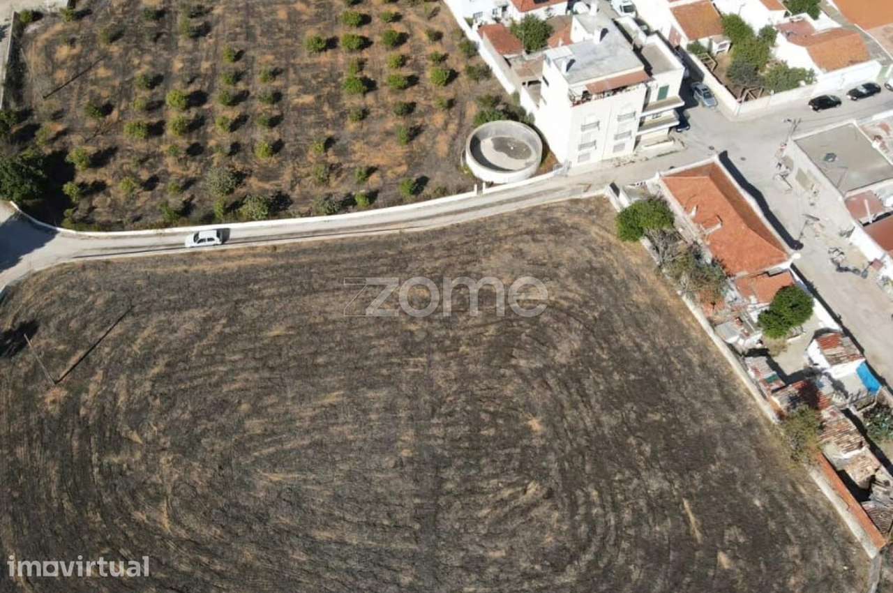 Quinta no Centro do Algoz - Grande imagem: 3/16