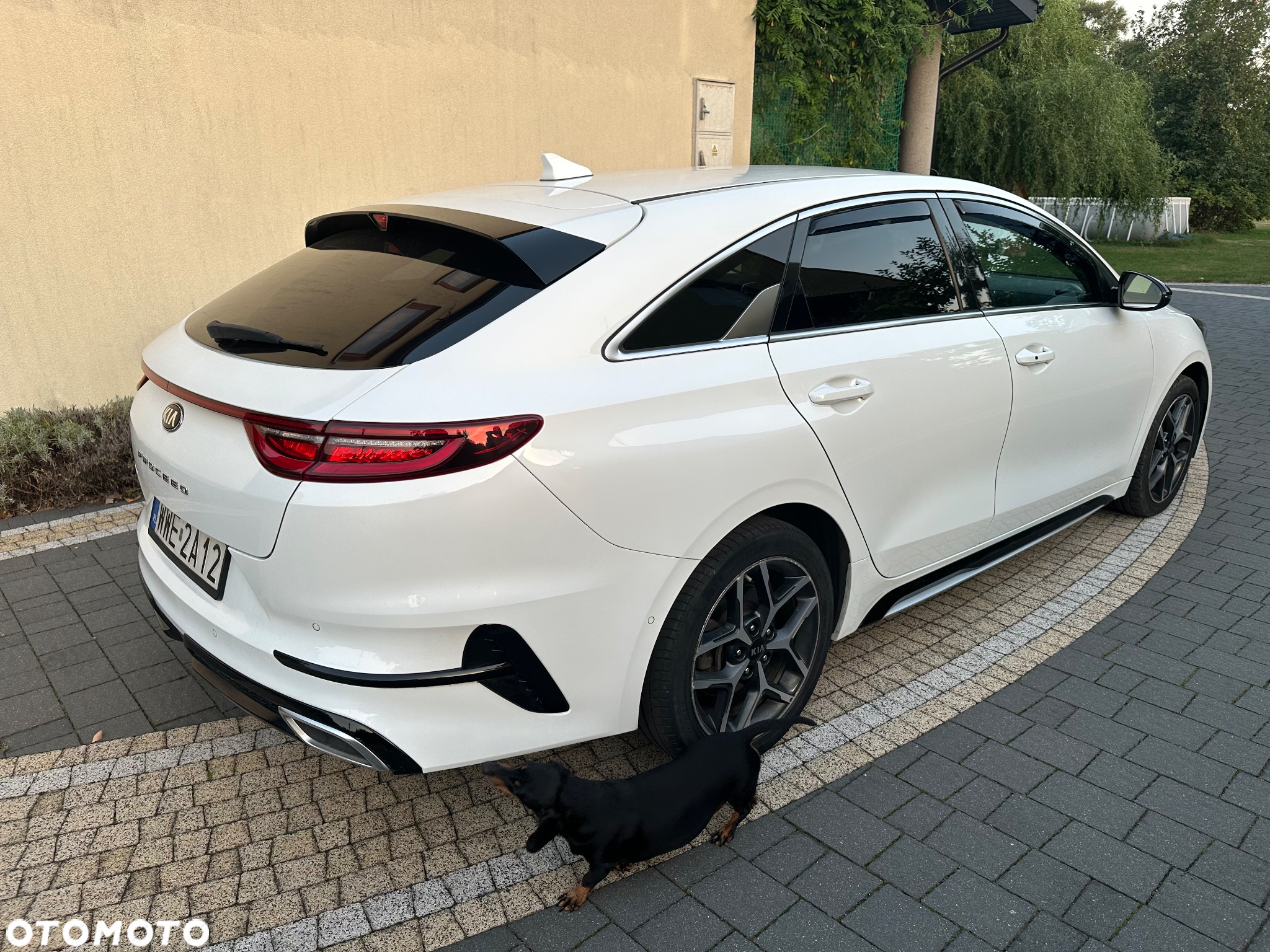 Kia ProCeed 1.6 CRDi GT Line DCT - 10