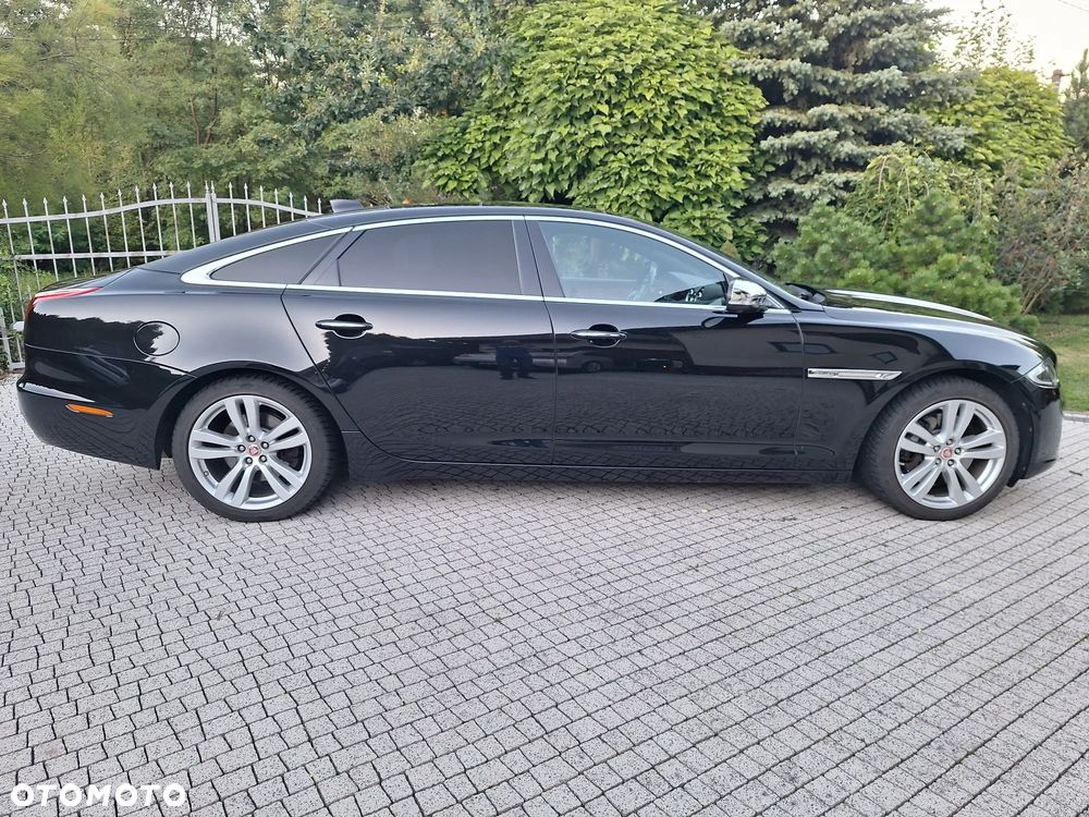 Jaguar XJ 3.0 V6 Kompressor AWD Langversion Portfolio - 13
