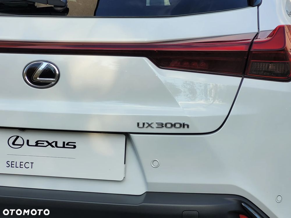 Lexus UX 300h F Sport Design - 23