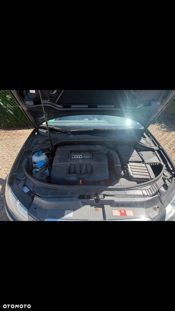 Audi A3 3-drzwiowe 1.6 Attraction - 6