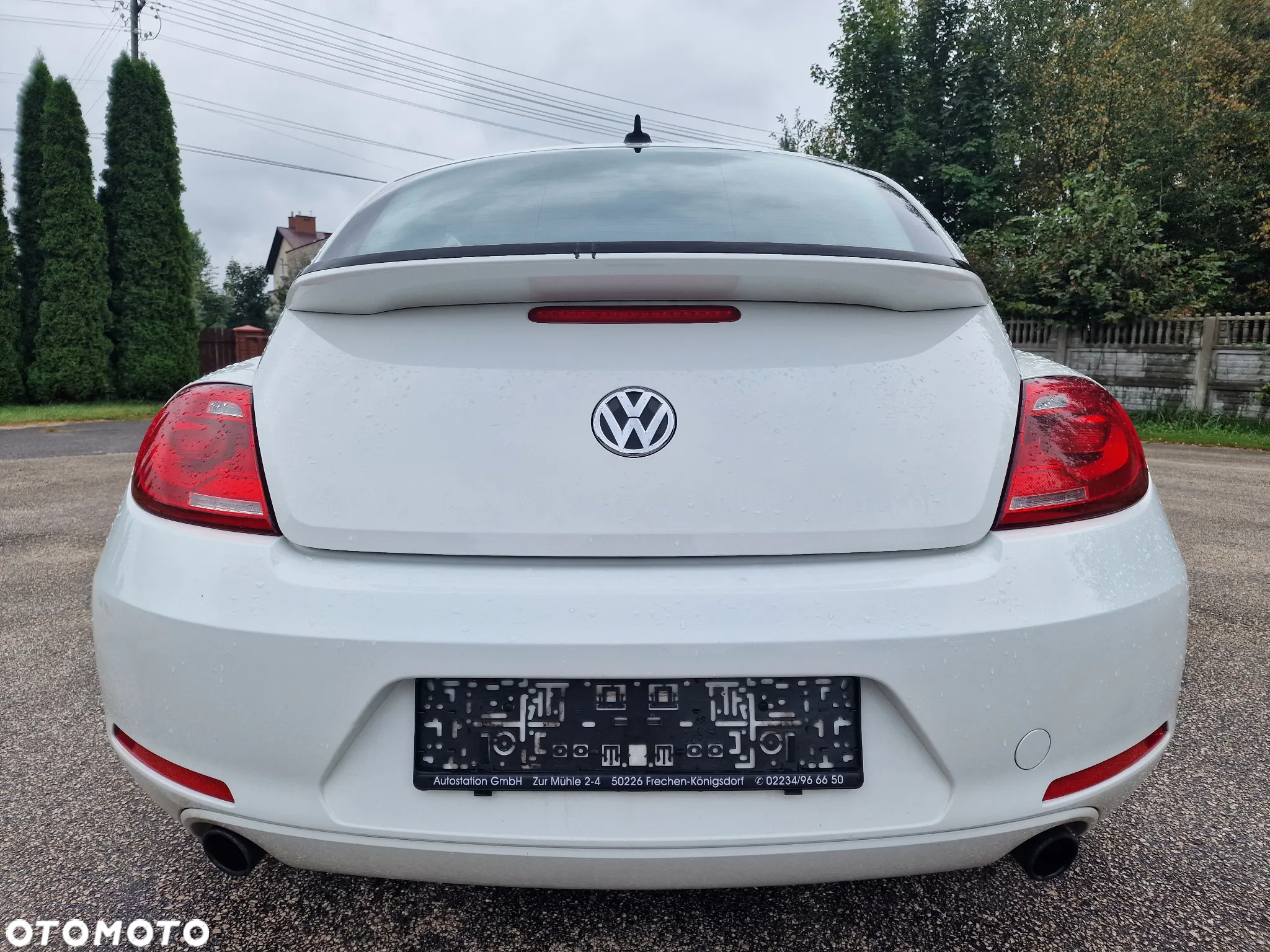 Volkswagen Beetle - 5