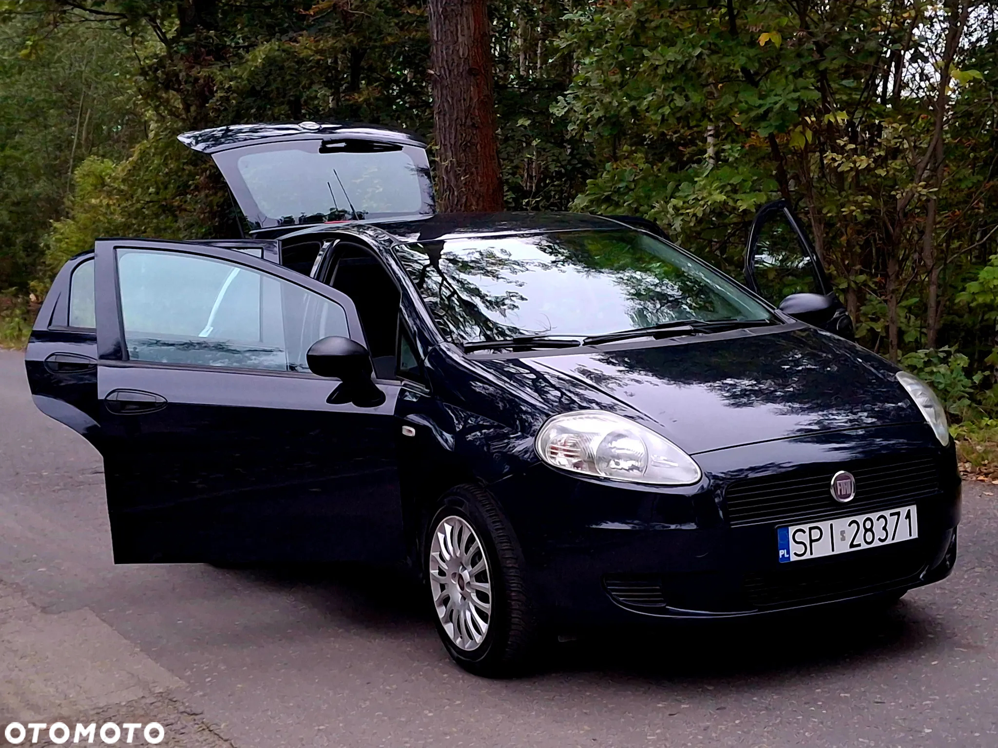 Fiat Grande Punto Actual 1.2 8V Estiva - 9