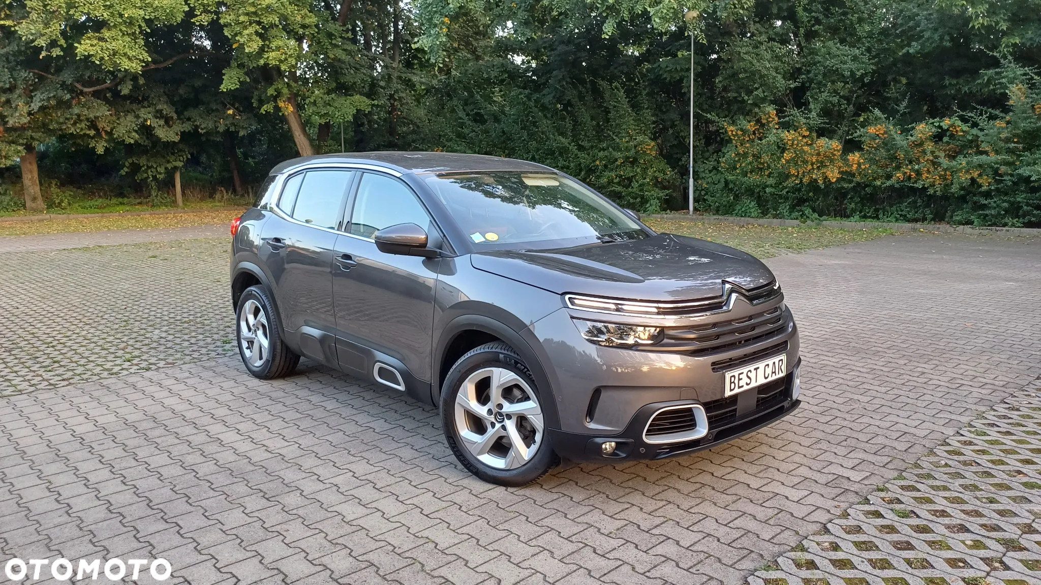 Citroën C5 Aircross BlueHDI 130 S&S EAT8 C-SERIES - 2
