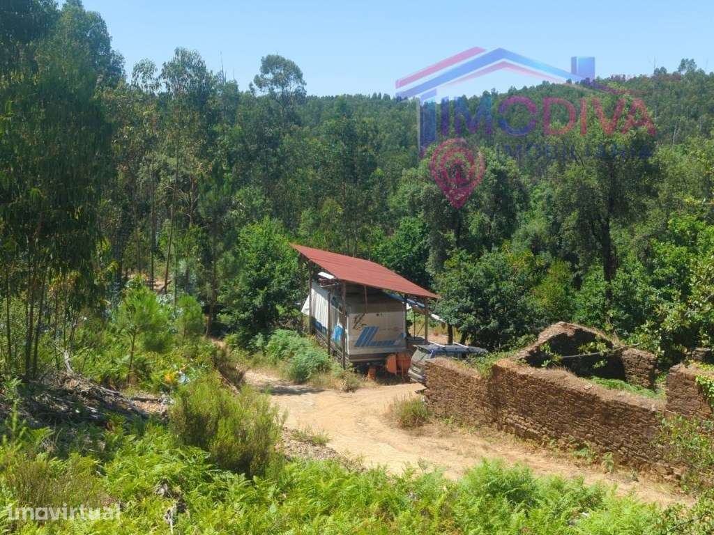 Quinta com moradia e terreno fértil de 10.063 m² - Grande imagem: 4/40