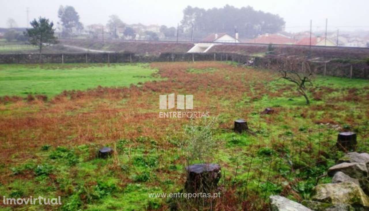 Terreno Alvarães - Grande imagem: 3/4