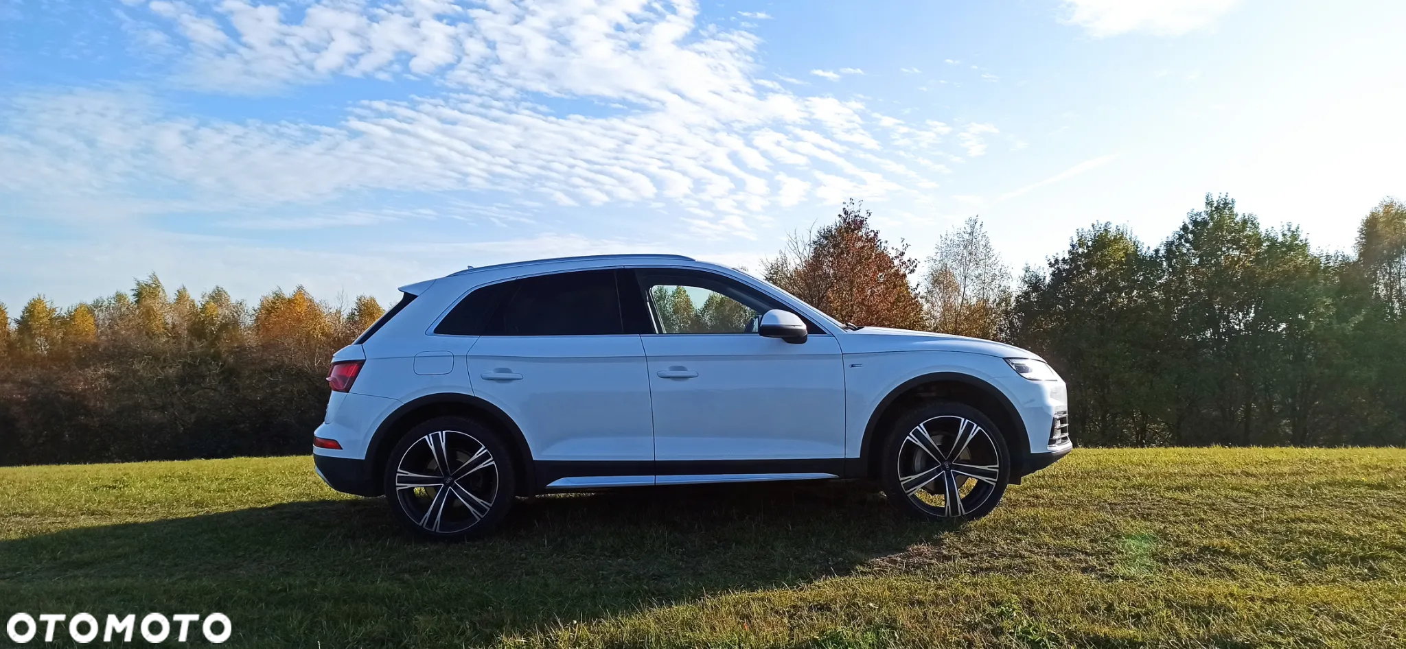 Audi Q5 2.0 TDI Quattro S tronic - 8