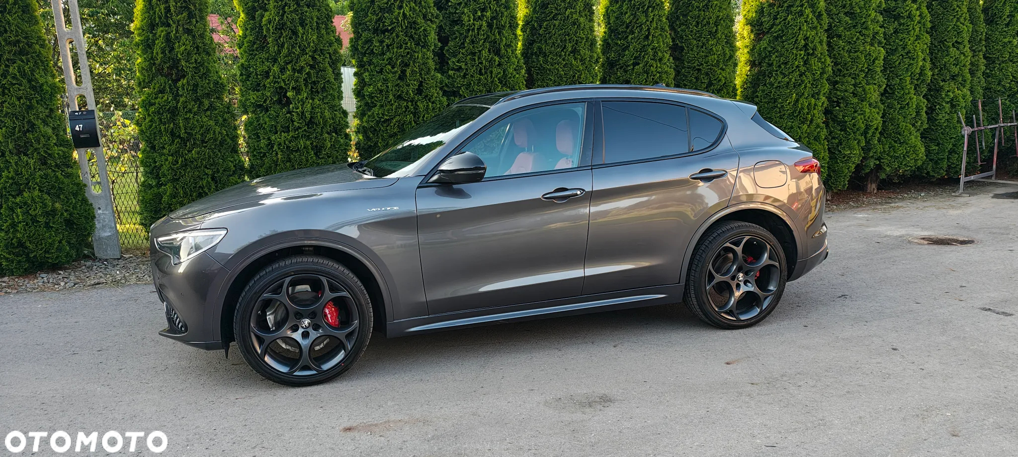Alfa Romeo Stelvio 2.0 Turbo Veloce TI Q4 - 3