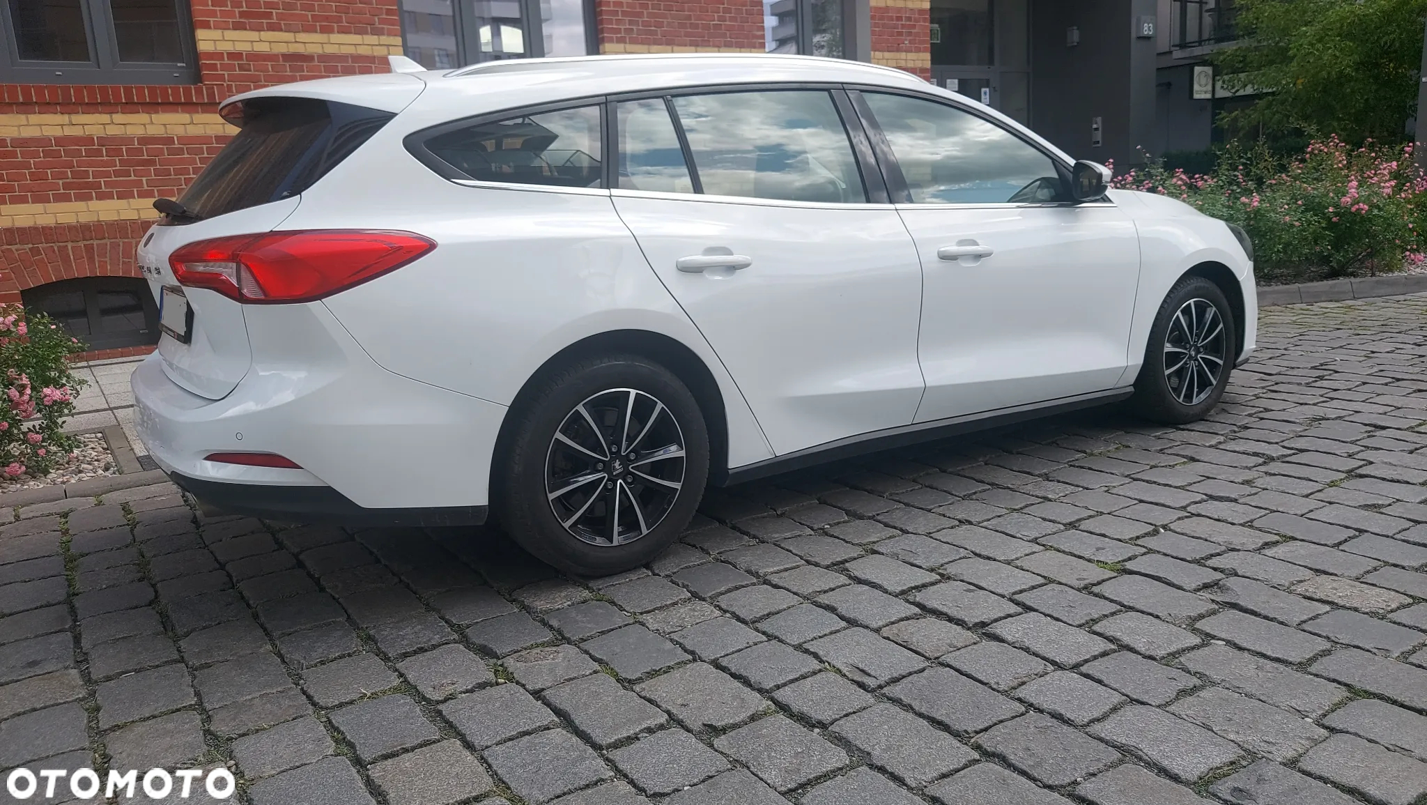 Ford Focus 1.5 EcoBlue Trend Edition Business - 14