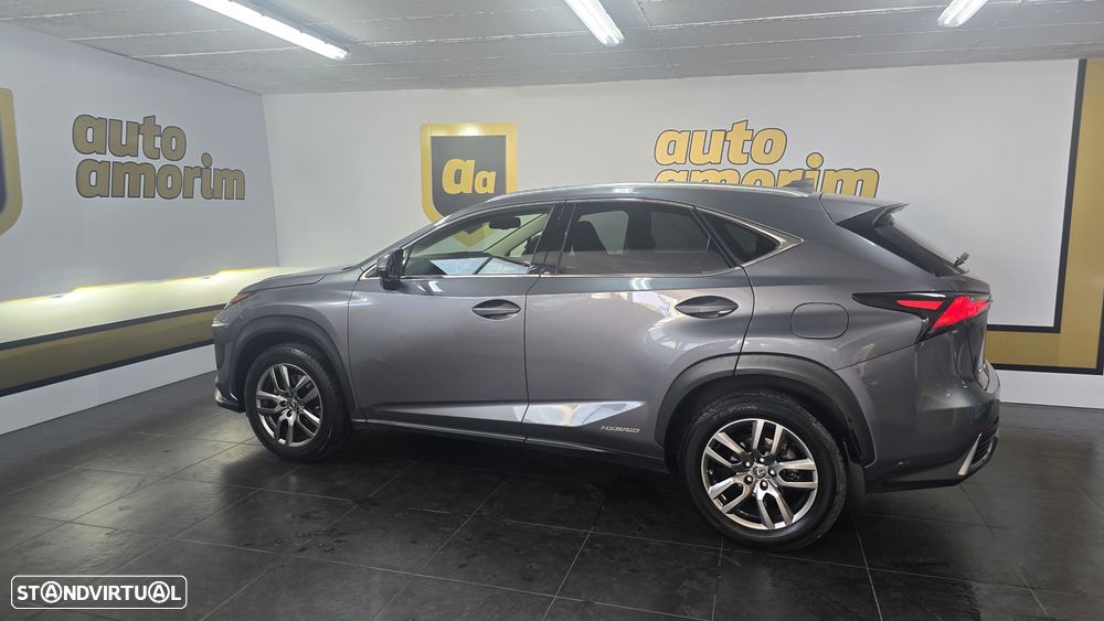 Lexus NX 300h Executive+ - 11