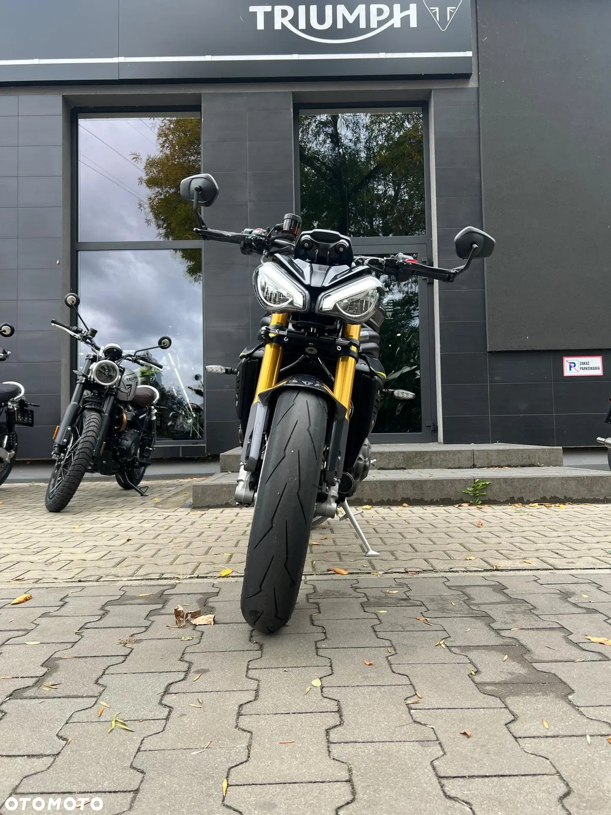 Triumph Speed Triple - 8