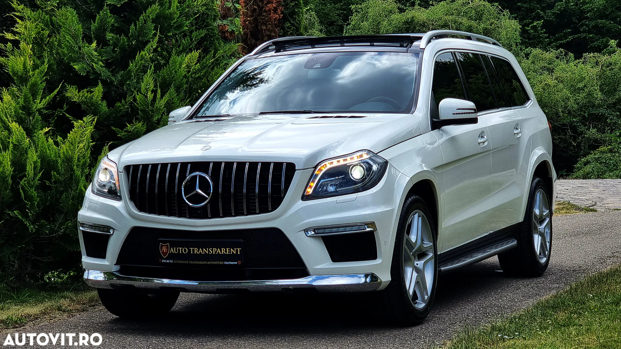 Mercedes-Benz GL 350 4MATIC BlueTec Aut. - 11