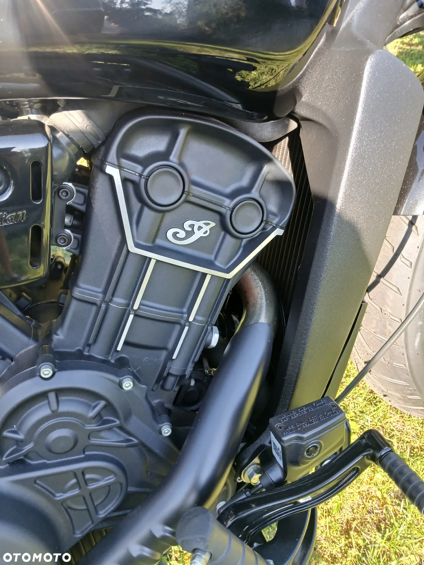 Indian Scout - 17