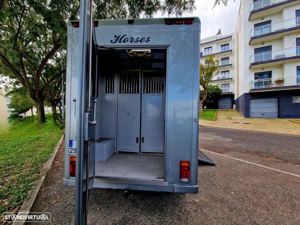 Renault MASTER - TRANSPORTE CAVALOS - 12