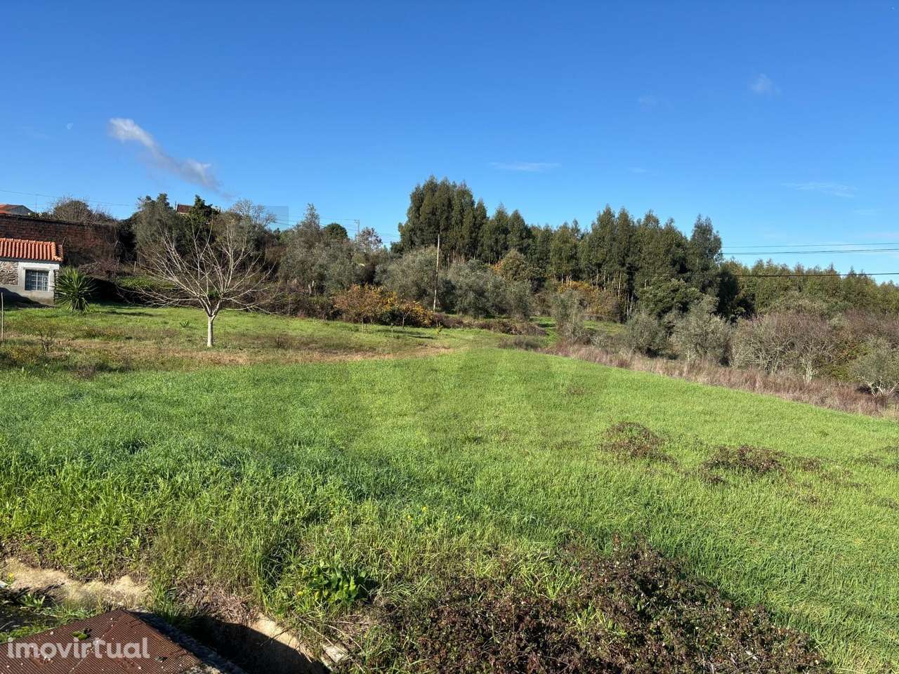 Oportunidade de investimento: Terreno com potencial construtivo em Tom - Grande imagem: 3/9