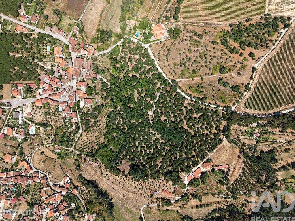 Terreno em Carregal do Sal - Grande imagem: 3/17