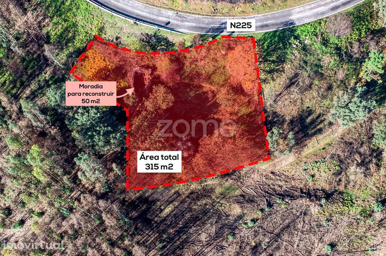 Quintinha para recuperar próxima dos Passadiços do Paiva - Nesperei... - Grande imagem: 5/13