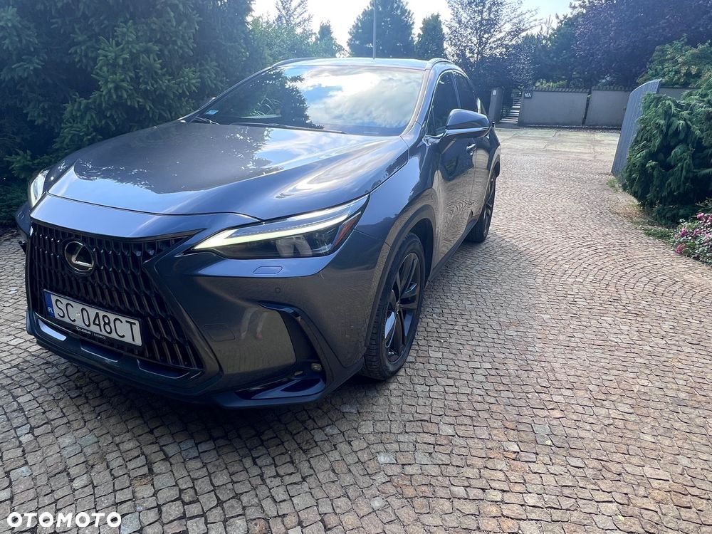 Lexus NX 450h+ Prestige AWD - 13