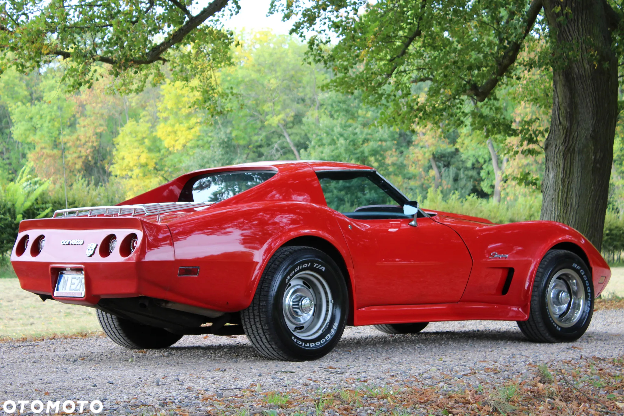 Chevrolet Corvette - 6