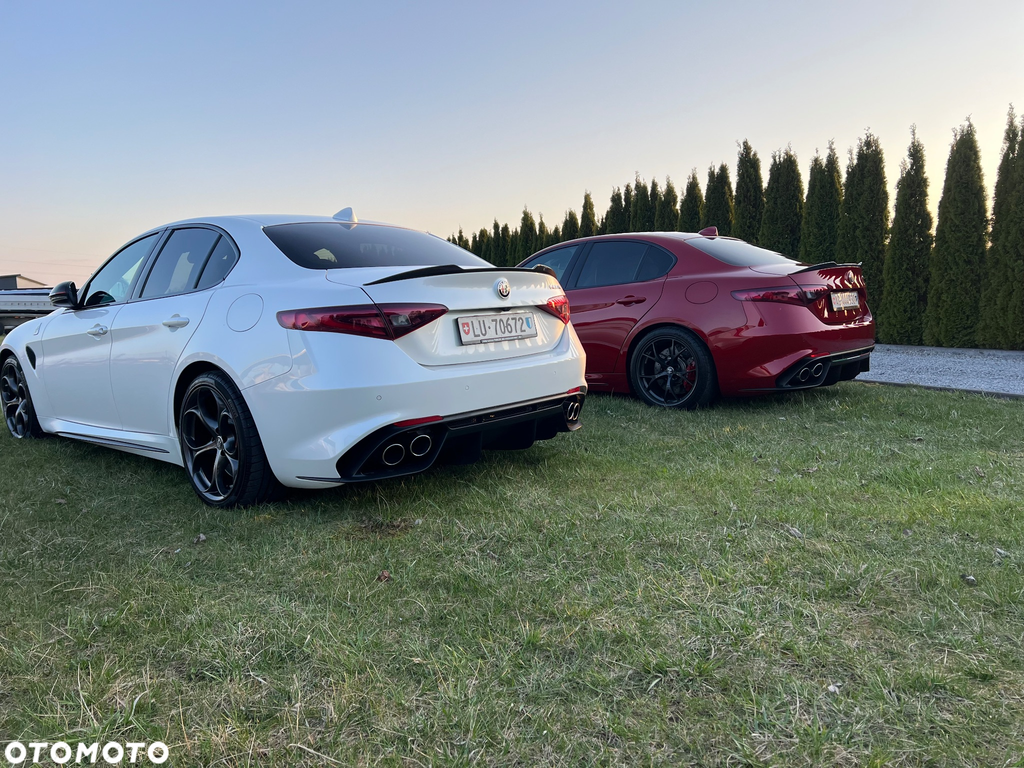 Alfa Romeo Giulia 2.9 V6 Bi-Turbo AT8 Quadrifoglio - 38