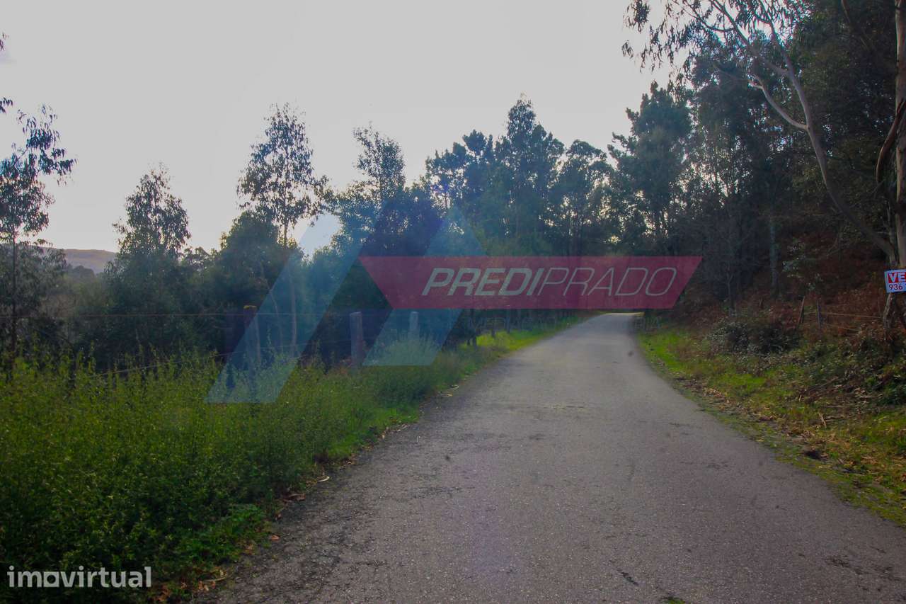 Terreno florestal com 4500m2! - Grande imagem: 4/6