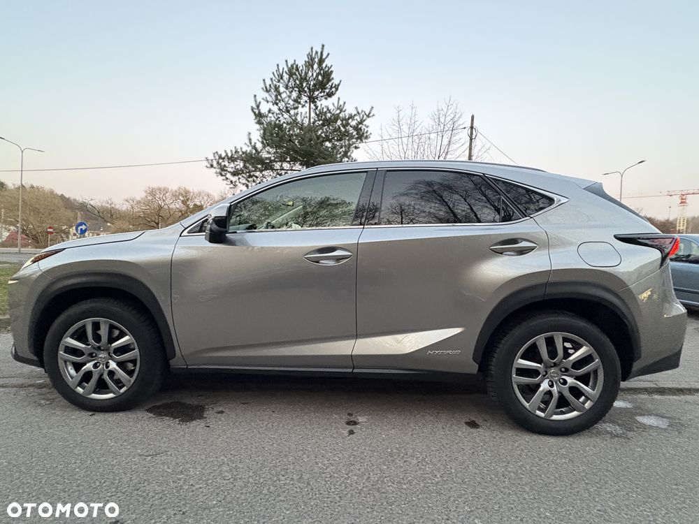 Lexus NX 300h Comfort AWD - 18