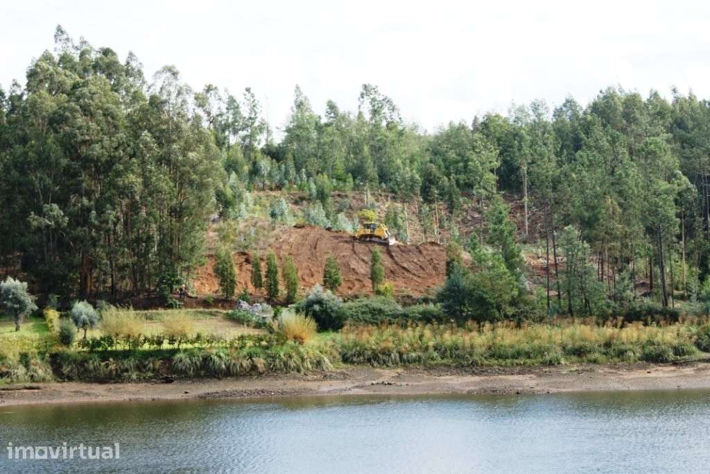 Herdade à venda em Penacova - Grande imagem: 3/25