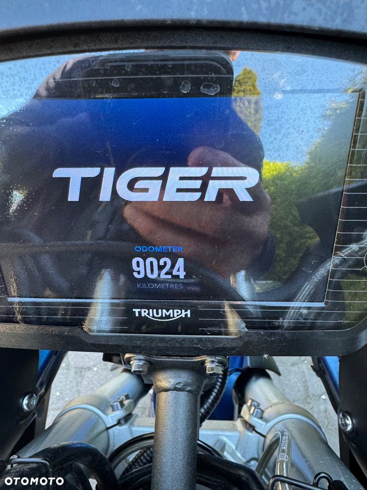Triumph Tiger - 7