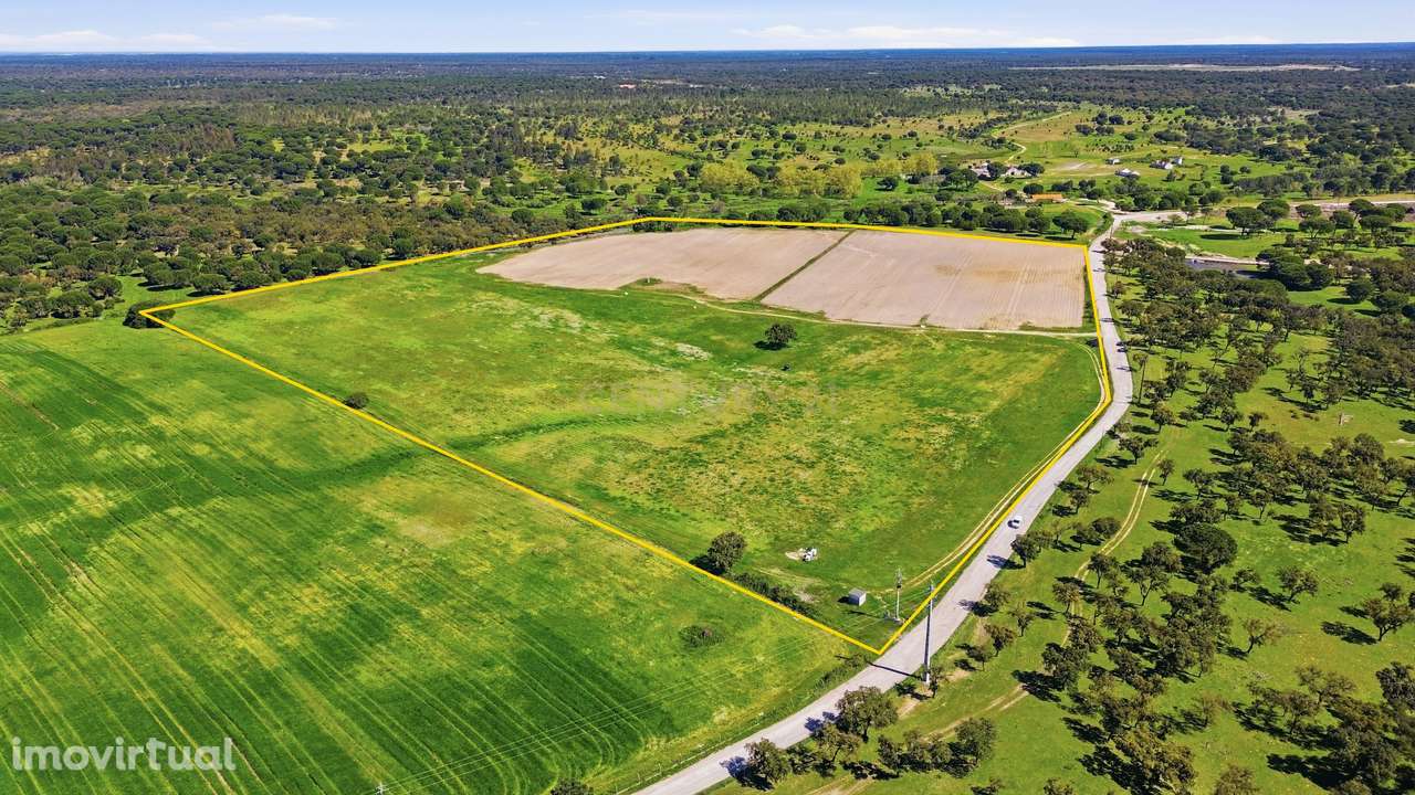 Terreno com 15 Hectares e Viabilidade Multifunções | Alcochete - Grande imagem: 2/3