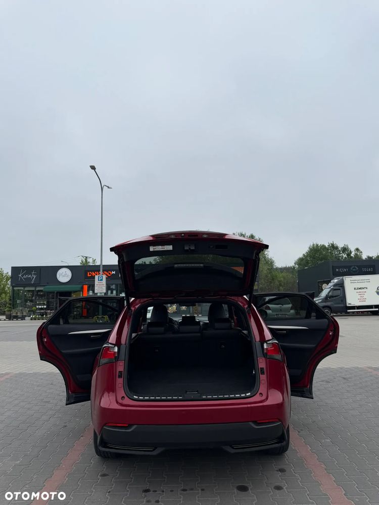 Lexus NX 300h F Sport AWD - 10