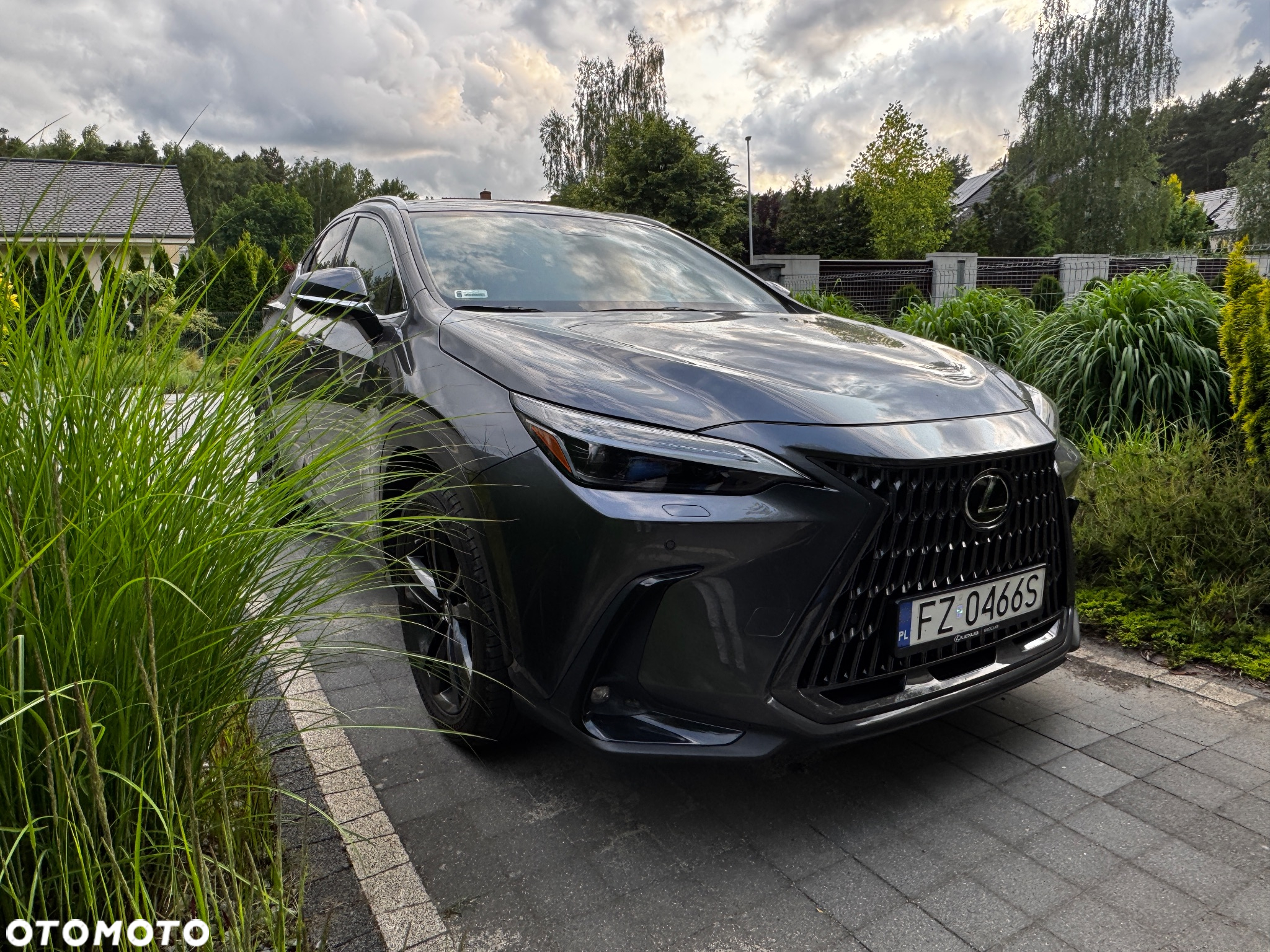 Lexus NX 300 GPF Prestige AWD - 13